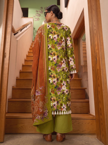 bareeza linen v-644