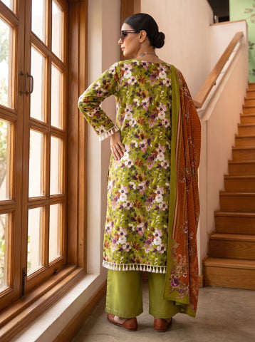 bareeza linen v-644